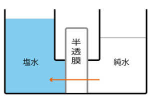 実験1